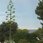Zuzi Otok Hrvatska