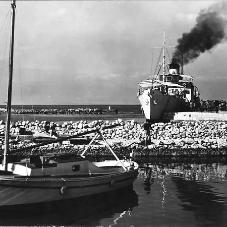 Zuzi Otok Hrvatska Silba