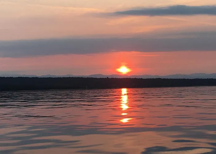 Zuzi Otok Hrvatska *