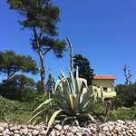 Apartment Zuzi Otok Hrvatska Silba