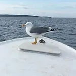 Zuzi Otok Hrvatska