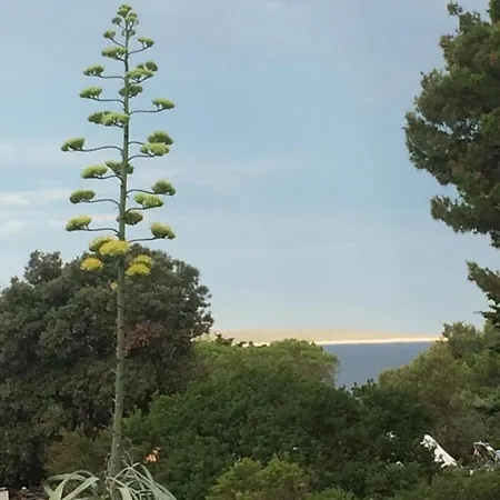 Zuzi Otok Hrvatska