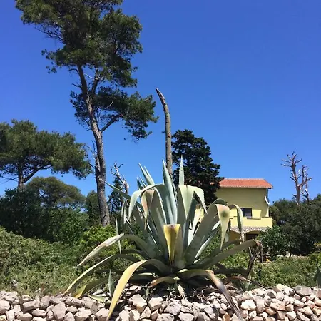 Apartment Zuzi Otok Hrvatska Silba