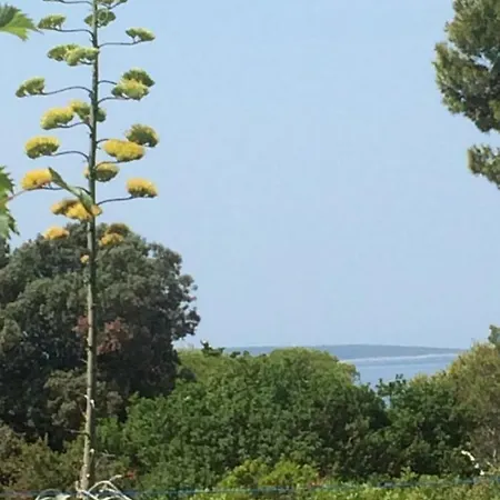 Zuzi Otok Hrvatska Apartment Silba