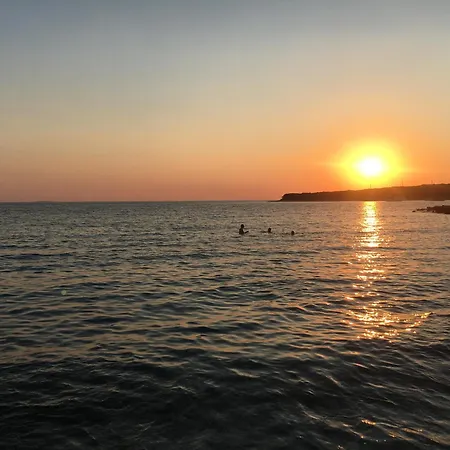 Zuzi Otok Hrvatska