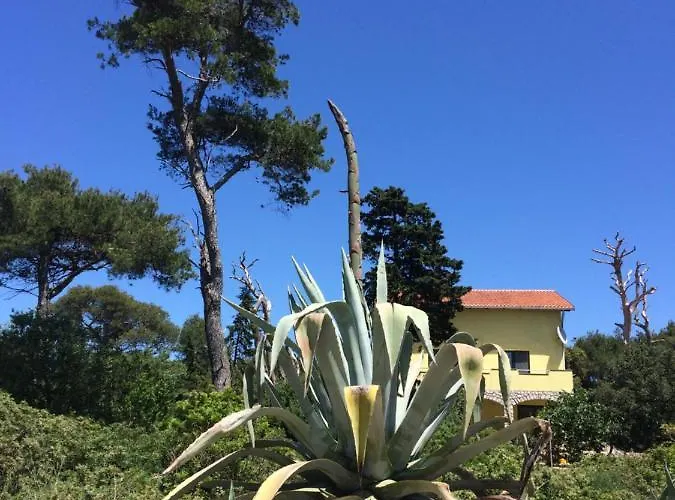 Appartamento Zuzi Otok Hrvatska Silba